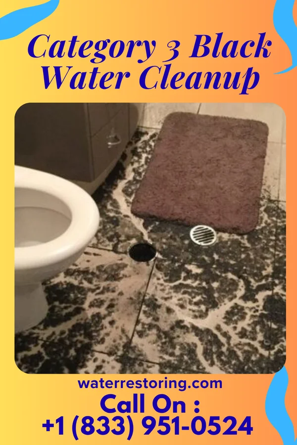 Category 3 Black Water Cleanup in Crowder, OK